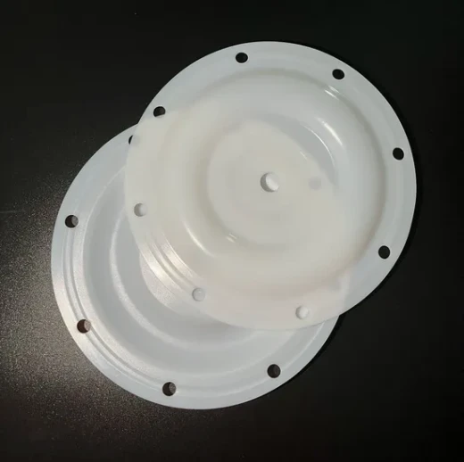 Replacement Of Aro PTFE Diaphragm Used For Aro Pneumatic Diaphragm Pump best